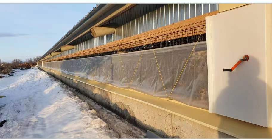 pvc transparent mesh tarpaulin for dairy farming roll-up curtain